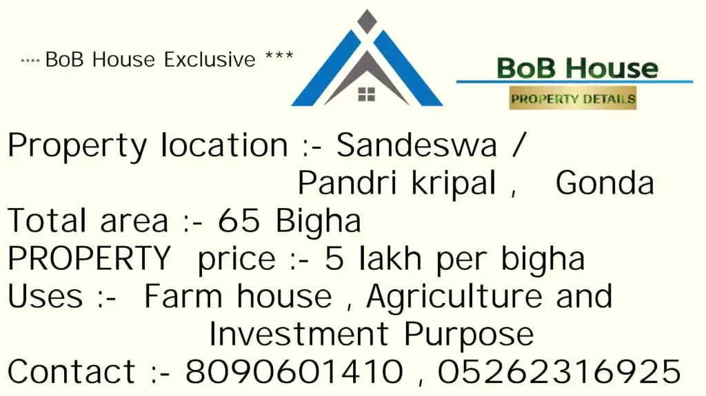 65 BIGHA SHUBHAGPUR ON SELL